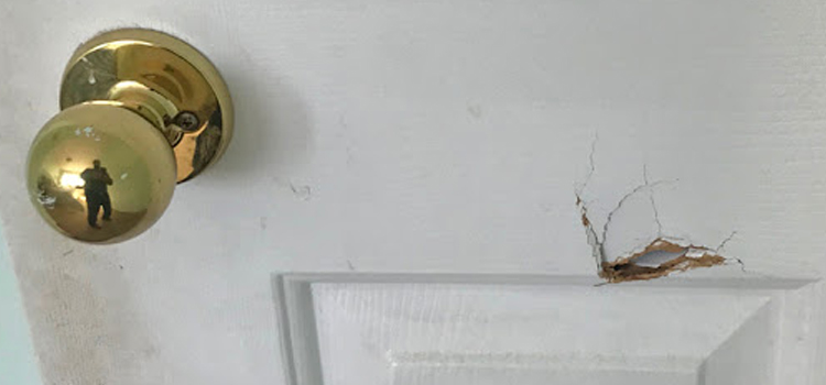 interior door hole repair Earlimart